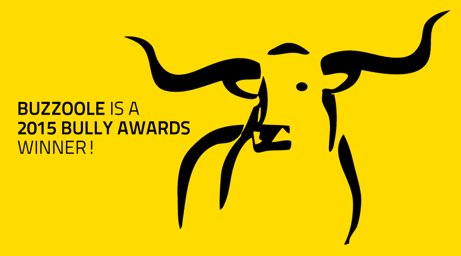 Updated: Buzzoole has been selected for 2015 Bully Awards!