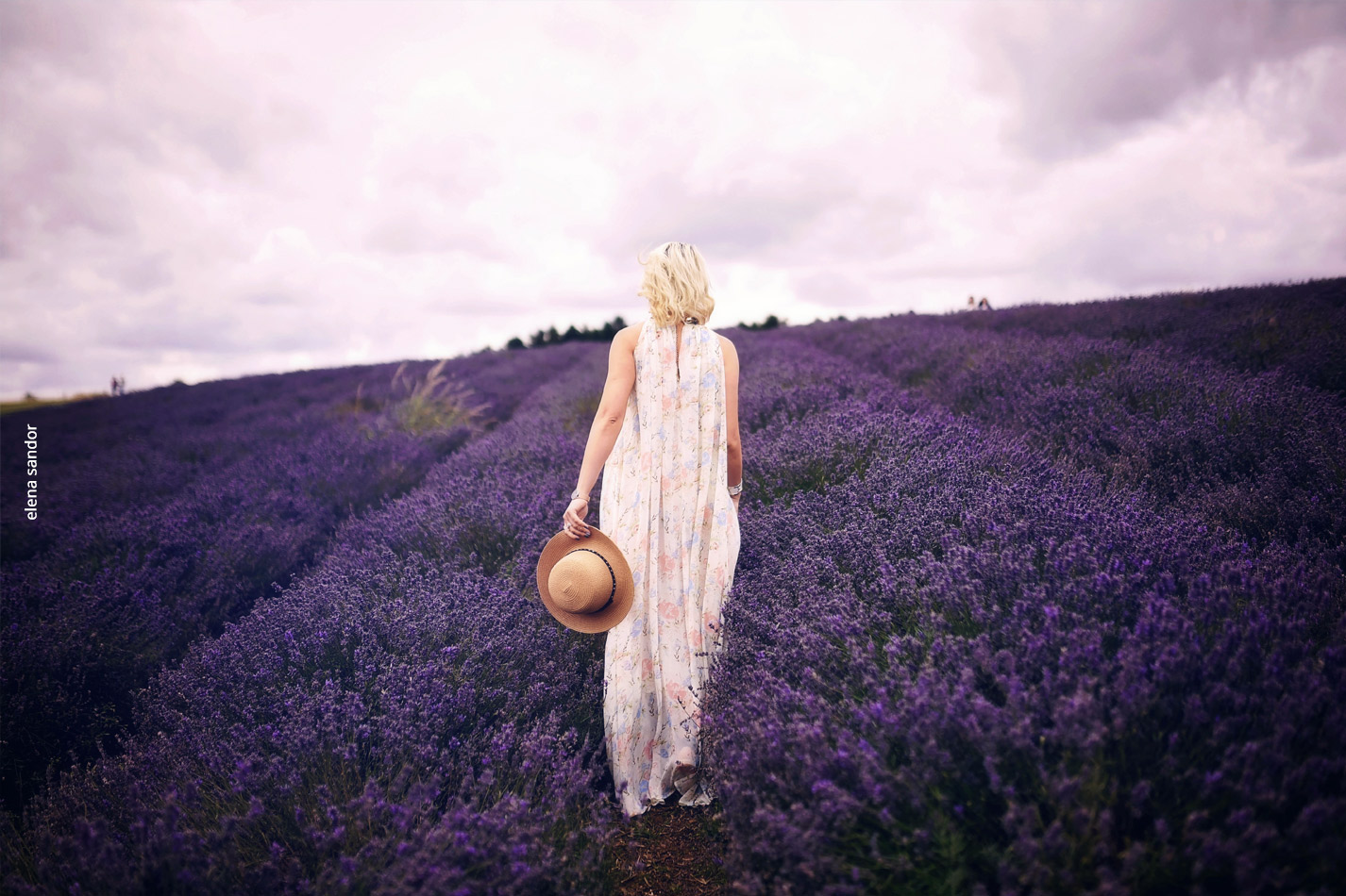 It’s The Start of A New Chapter In Our Journey Together: The New Buzzoole Is Here