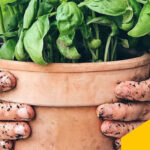 Sostenibilità e Influencer Marketing: nuove opportunità per i brand
