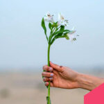 Instagram sfida TikTok: guida ai nuovi Remix di Reels