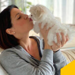 Pet e Influencer Marketing