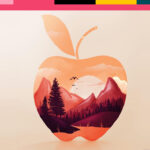 Chi sono i fin influencer